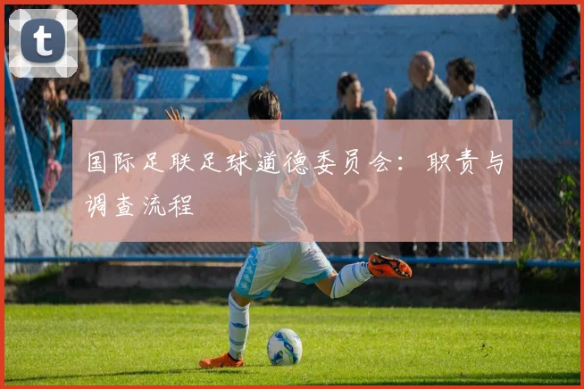 国际足联足球道德委员会：职责与调查流程