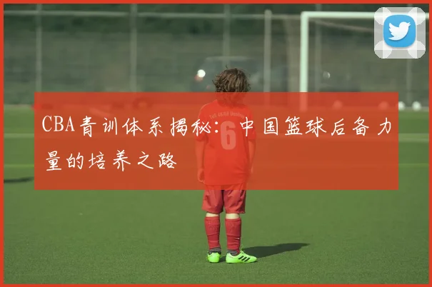 CBA青训体系揭秘：中国篮球后备力量的培养之路