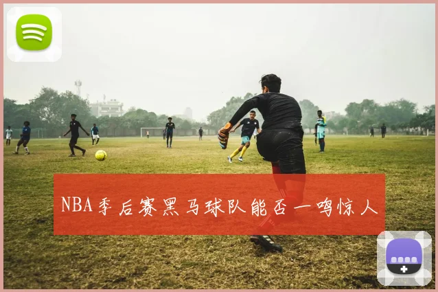 NBA季后赛黑马球队能否一鸣惊人