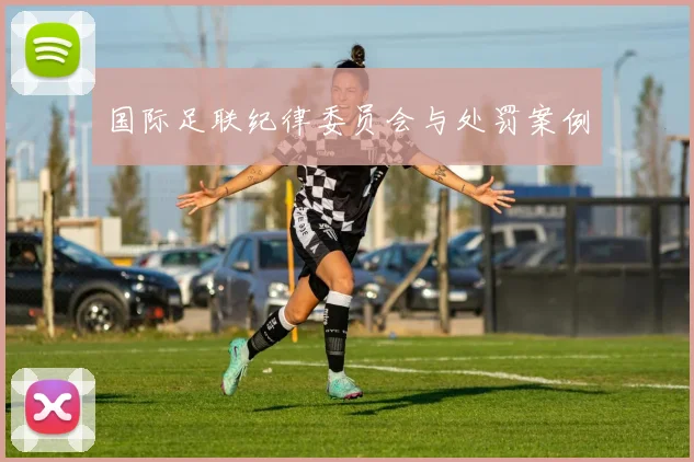 国际足联纪律委员会与处罚案例
